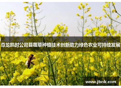 尊龙凯时公司苜蓿草种植技术创新助力绿色农业可持续发展